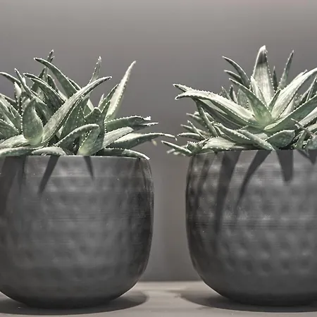 Hotel Alpenhotel Wurzer Filzmoos