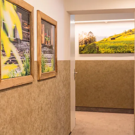 Hotel Alpenhotel Wurzer