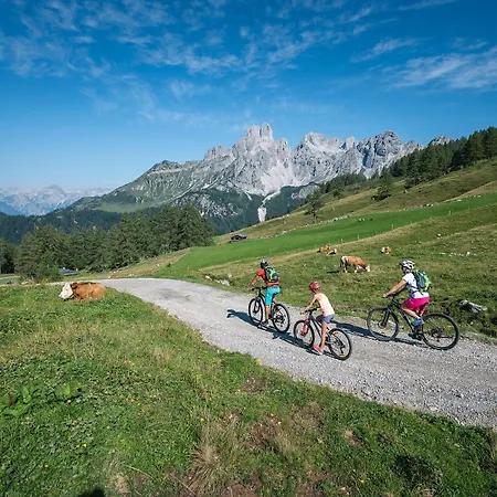 Alpenhotel Wurzer Ξενοδοχείο 3*