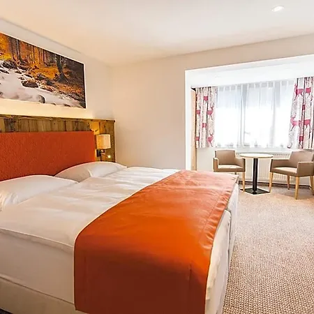 Hotel Alpenhotel Wurzer Filzmoos