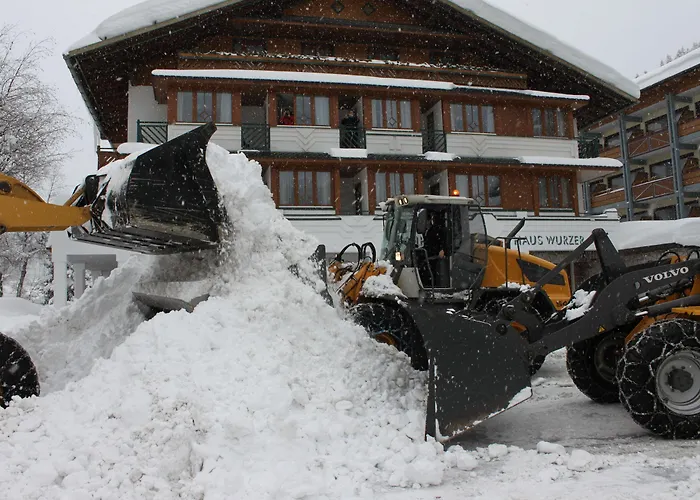 Alpenhotel Wurzer 3*